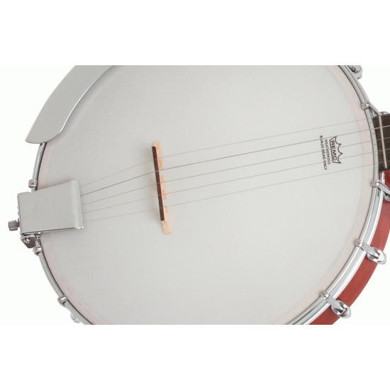 Epiphone MB-100 Banjo Vintage Satin Brown