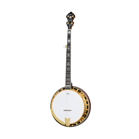 Epiphone Earl Scruggs Golden Deluxe Banjo Vintage Sunburst