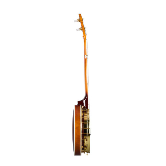 Epiphone Earl Scruggs Golden Deluxe Banjo Vintage Sunburst