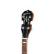 Epiphone Mastertone Classic Banjo Natural