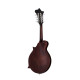 Epiphone F-5G Mandolin Cremona Sunburst