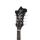 Epiphone F-5G Mandolin Cremona Sunburst