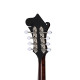 Epiphone F-5G Mandolin Cremona Sunburst