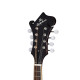 Epiphone F-5 Studio Mandolin Vintage Sunburst Satin