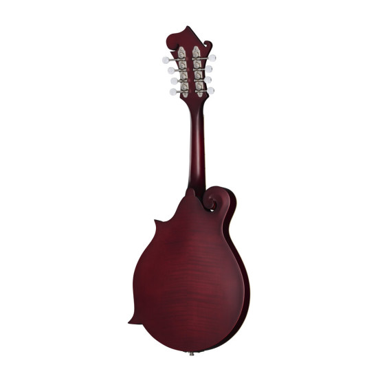 Epiphone F-5 Studio Mandolin Wine Red Satin