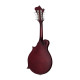 Epiphone F-5 Studio Mandolin Wine Red Satin