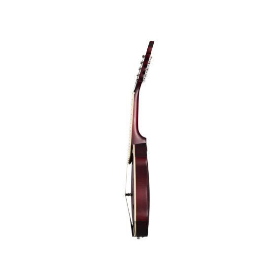 Epiphone F-5 Studio Mandolin Wine Red Satin