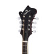 Epiphone F-5 Studio Mandolin Wine Red Satin