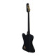 Epiphone Rex Brown Thunderbird, Ebony