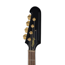 Epiphone Rex Brown Thunderbird, Ebony