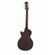 Epiphone Slash Les Paul In Case Anaconda Burst