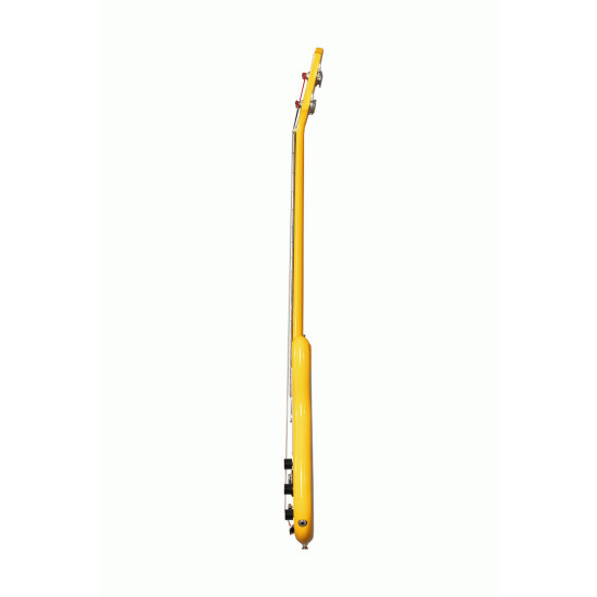 Epiphone Newport Bass Sunset Yellow