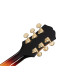 Epiphone Sheraton Frequensator Vintage Sunburst