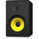 The Behringer Truth B1031A Studio Monitor