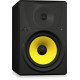 The Behringer Truth B1031A Studio Monitor