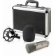 The Behringer B2PRO Condenser Microphone