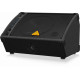 The Behringer Eurolive F1320D Monitor