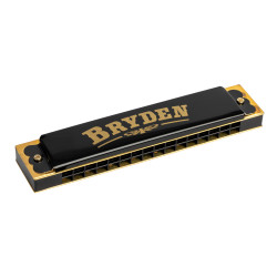 Bryden M716 16 hole harmonica.