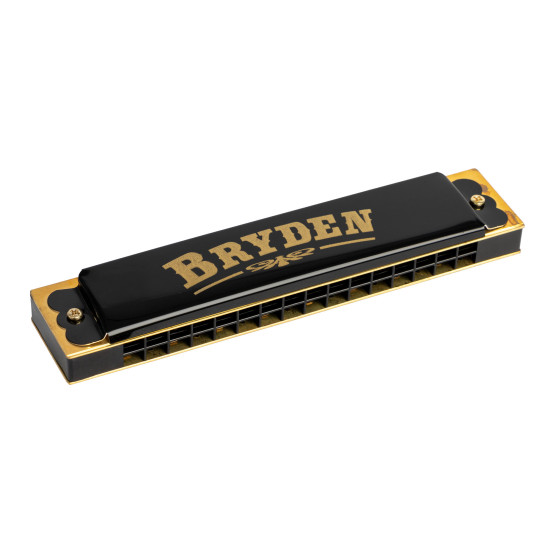 Bryden M716 16 hole harmonica.
