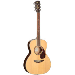 SGW 300 Series Grand Concert Guitar