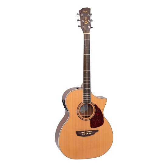 SGW 350 Series Grand Concert electric / acoustic guitar with Sharp Florentine cutaway