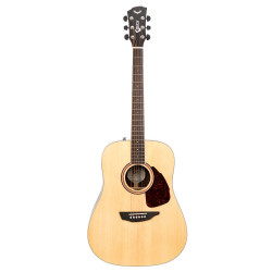 SGW 500 Series Dreadnought acoustic guitar.