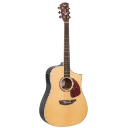 SGW 550 Series Dreadnought electric/acoustic guitar.