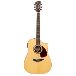 SGW 550 Series Dreadnought electric/acoustic guitar.