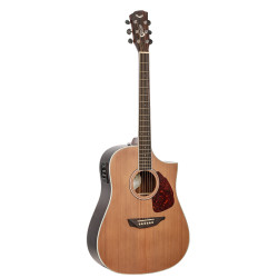 SGW 650 Series Dreadnought electric/acoustic guitar.