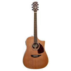 SGW 650 Series Dreadnought electric/acoustic guitar.