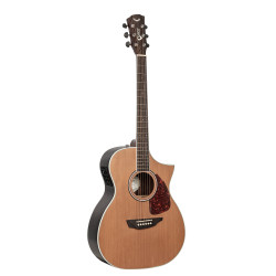 SGW 650 Series Orchestra electric/acoustic guitar.