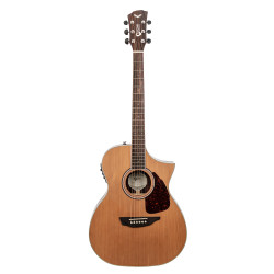 SGW 650 Series Orchestra electric/acoustic guitar.