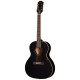 Epiphone Blues King, Ebony 