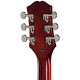 Epiphone Les Paul Special Double Cut Figured Bourbon Burst Electric Guitar