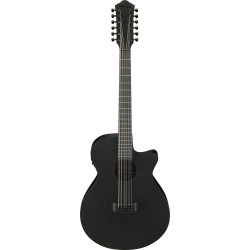 Ibanez AEG1221 Black Out Acoustic Guitar