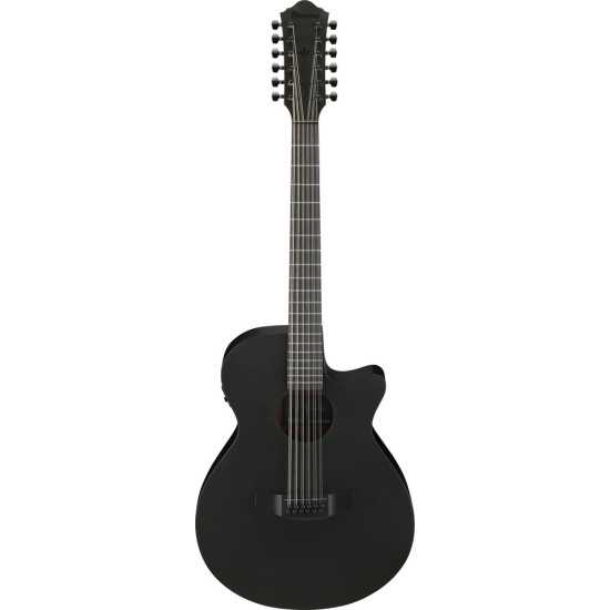 Ibanez AEG1221 Black Out Acoustic Guitar
