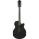 Ibanez AEG1221 Black Out Acoustic Guitar