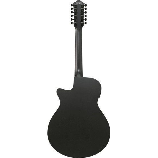 Ibanez AEG1221 Black Out Acoustic Guitar