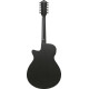 Ibanez AEG1221 Black Out Acoustic Guitar