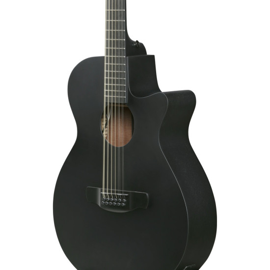 Ibanez AEG1221 Black Out Acoustic Guitar