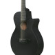 Ibanez AEG1221 Black Out Acoustic Guitar