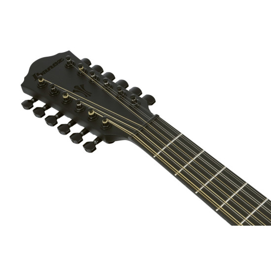 Ibanez AEG1221 Black Out Acoustic Guitar