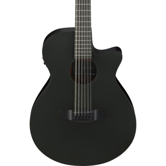 Ibanez AEG1221 Black Out Acoustic Guitar