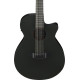 Ibanez AEG1221 Black Out Acoustic Guitar