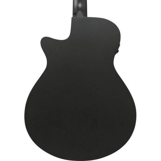 Ibanez AEG1221 Black Out Acoustic Guitar