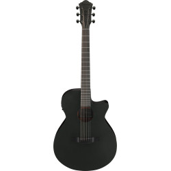 Ibanez AEG621 Black Out Acoustic Guitar