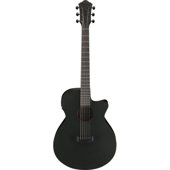 Ibanez AEG621 Black Out Acoustic Guitar