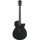 Ibanez AEG621 Black Out Acoustic Guitar