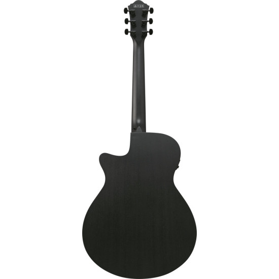 Ibanez AEG621 Black Out Acoustic Guitar
