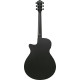 Ibanez AEG621 Black Out Acoustic Guitar